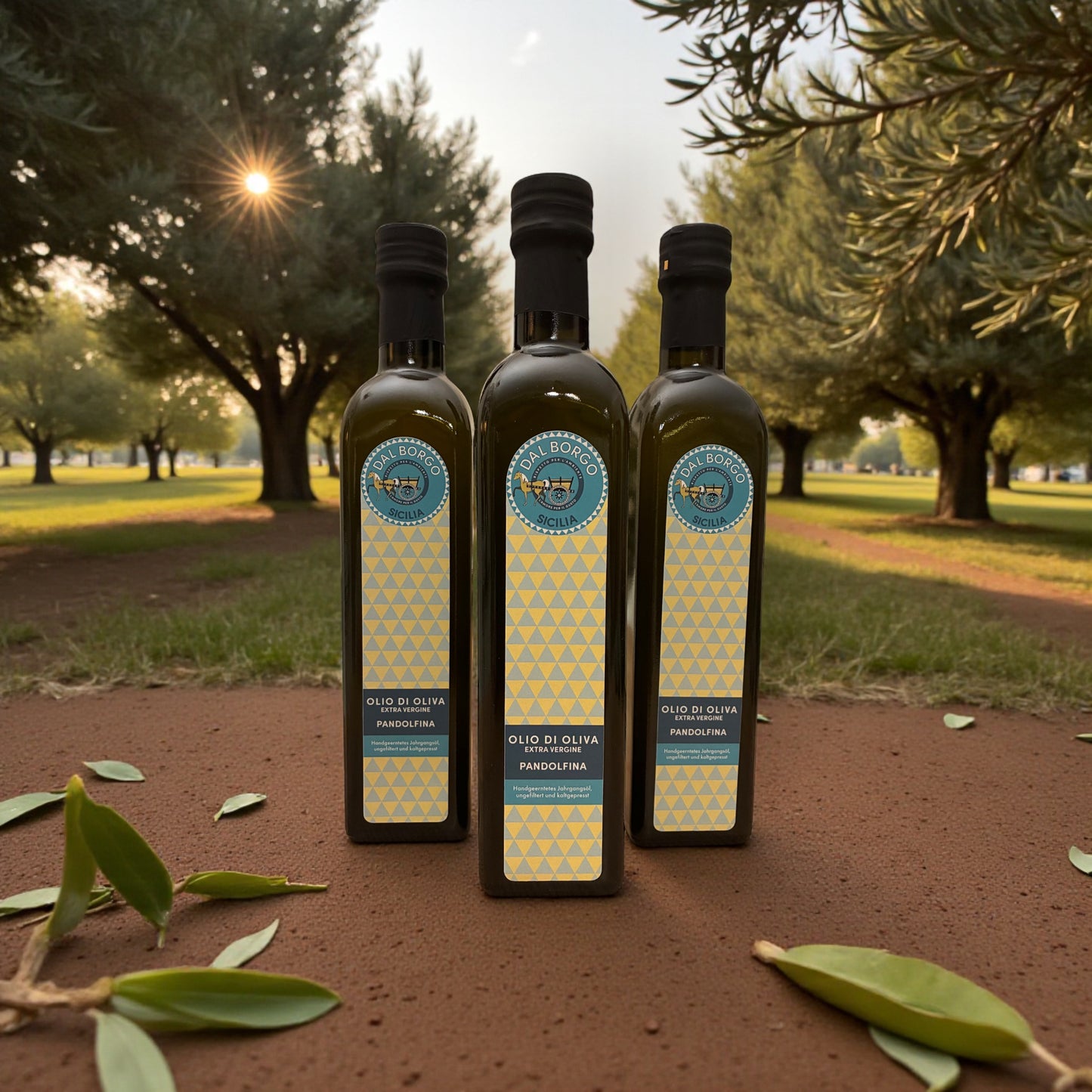 Neue Ernte: SAMBUCA SPECIAL – 3 x 0,5 l Sizilianisches Olivenöl Extra Vergine