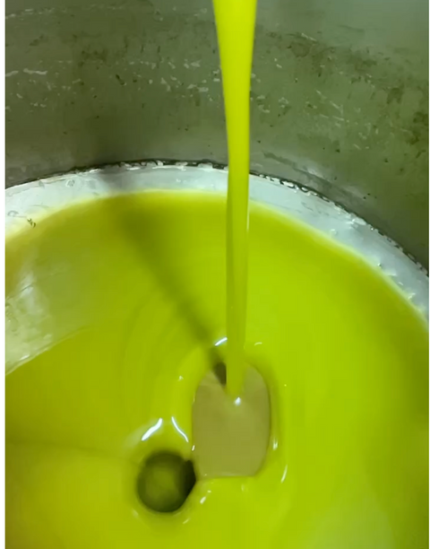 Olivenbaum-Patenschaft in Sizilien - ein Stück Mittelmeer für Zuhause