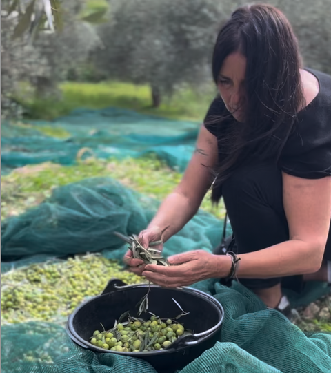 Olivenbaum-Patenschaft in Sizilien - ein Stück Mittelmeer für Zuhause